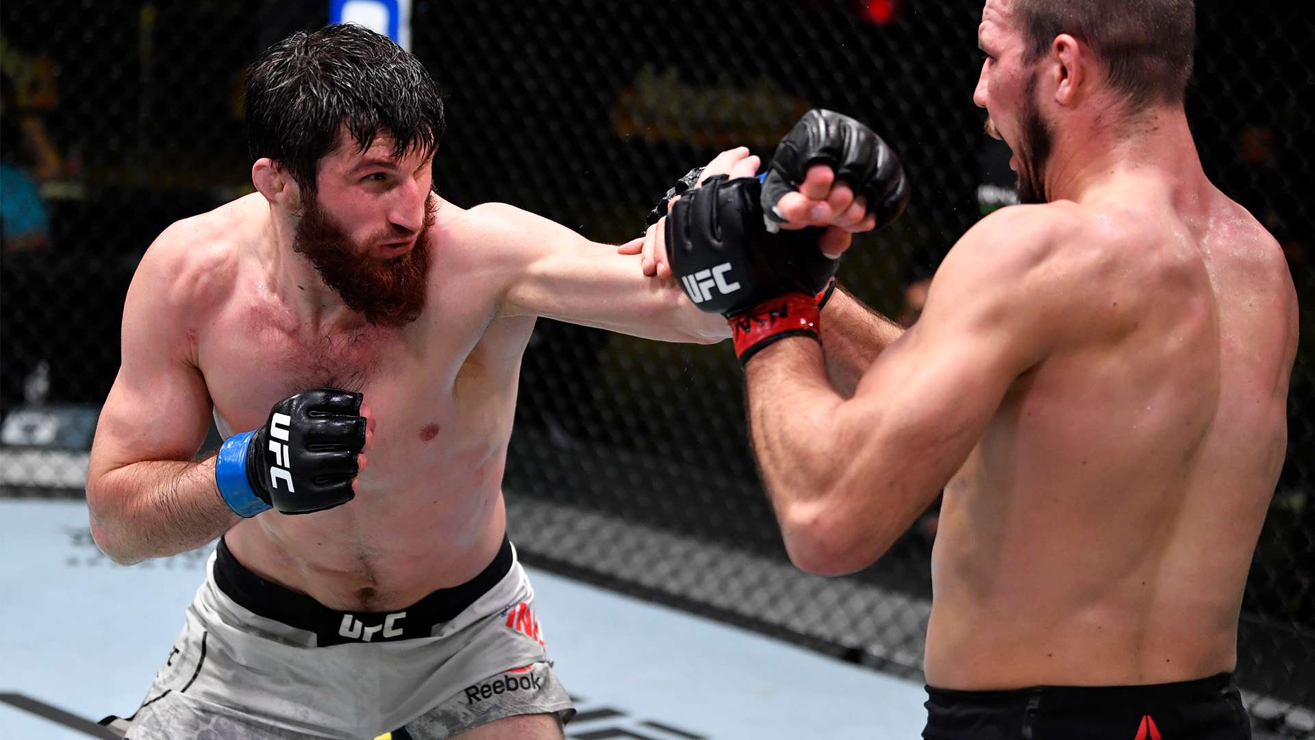 不缺乏惊喜 不缺乏惊喜